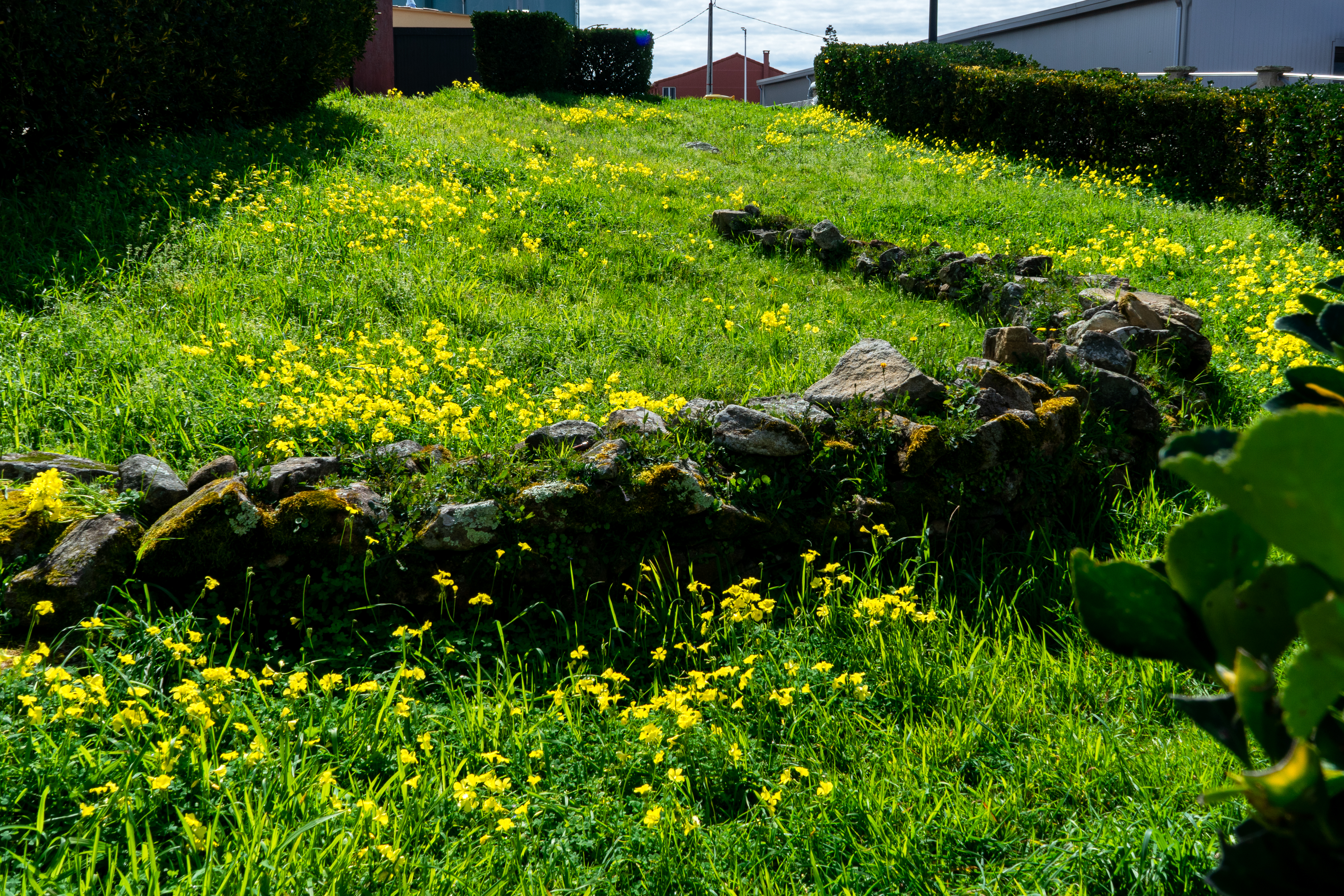 Castro de Achadizo Castro de Achadizo