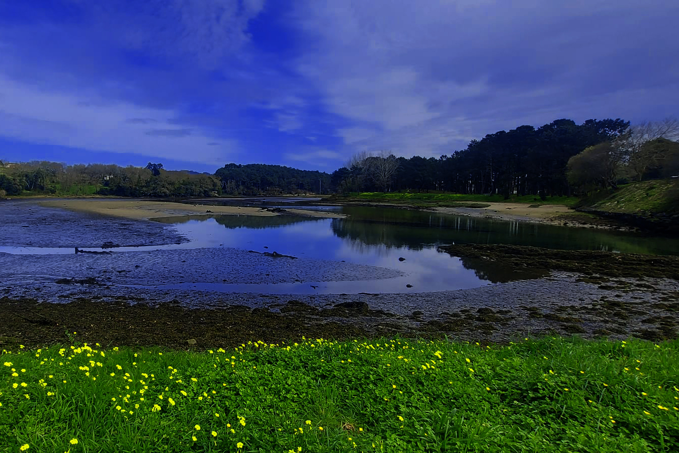Esteiro do río Coroño Esteiro do río Coroño