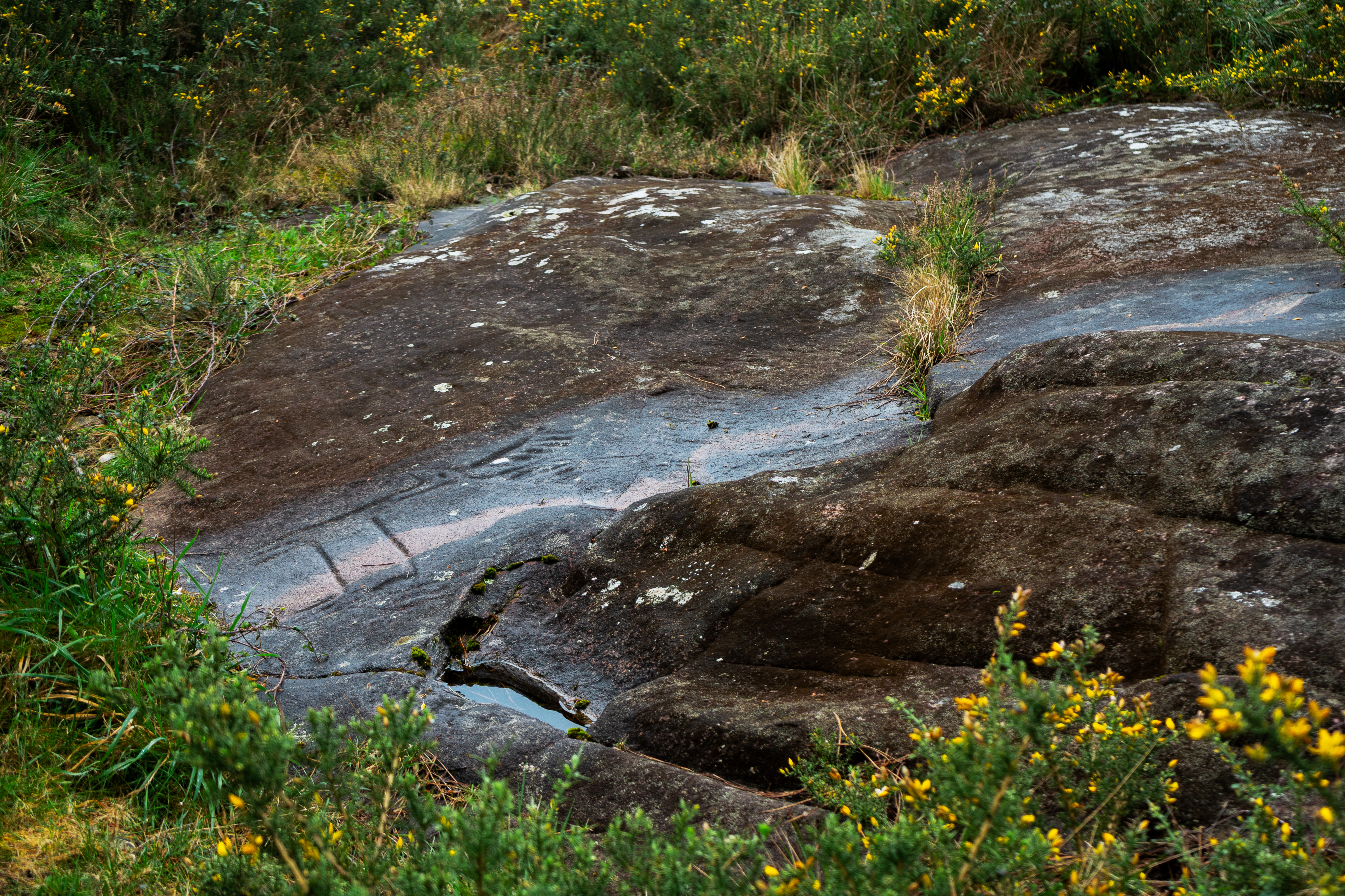 Petróglifos Os Mouchos