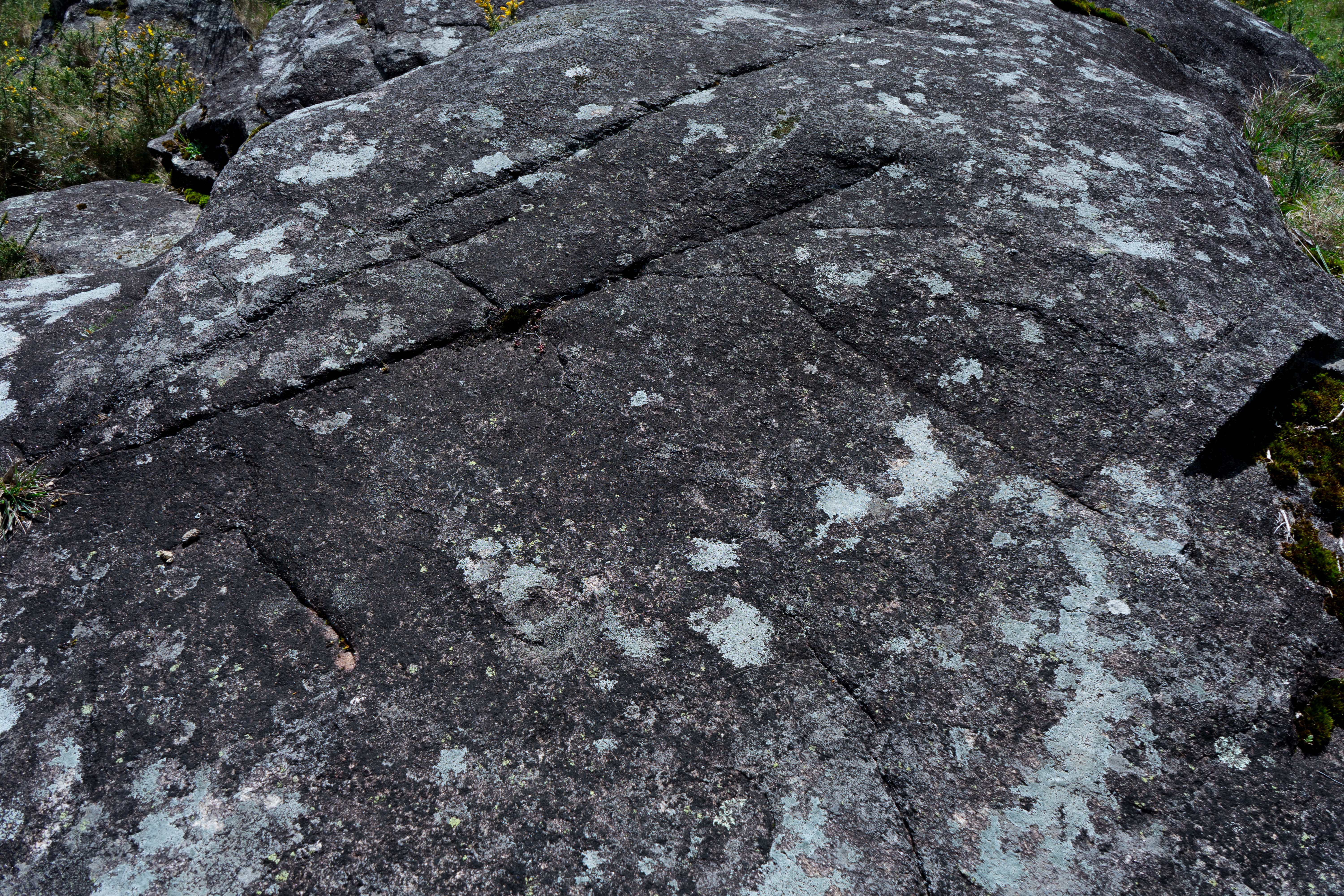 Petróglifos Monte Pelotiño