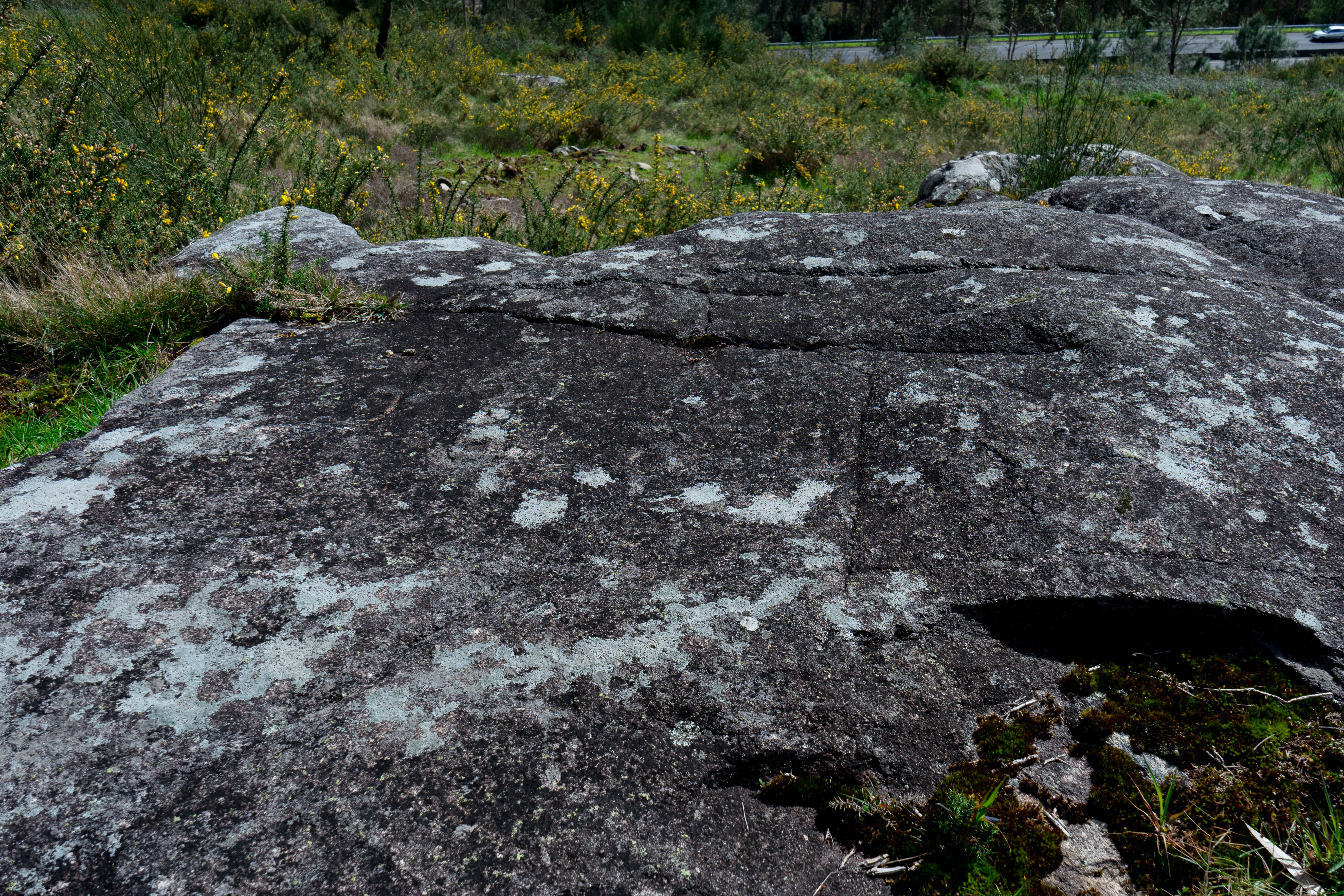Petróglifos Monte Pelotiño