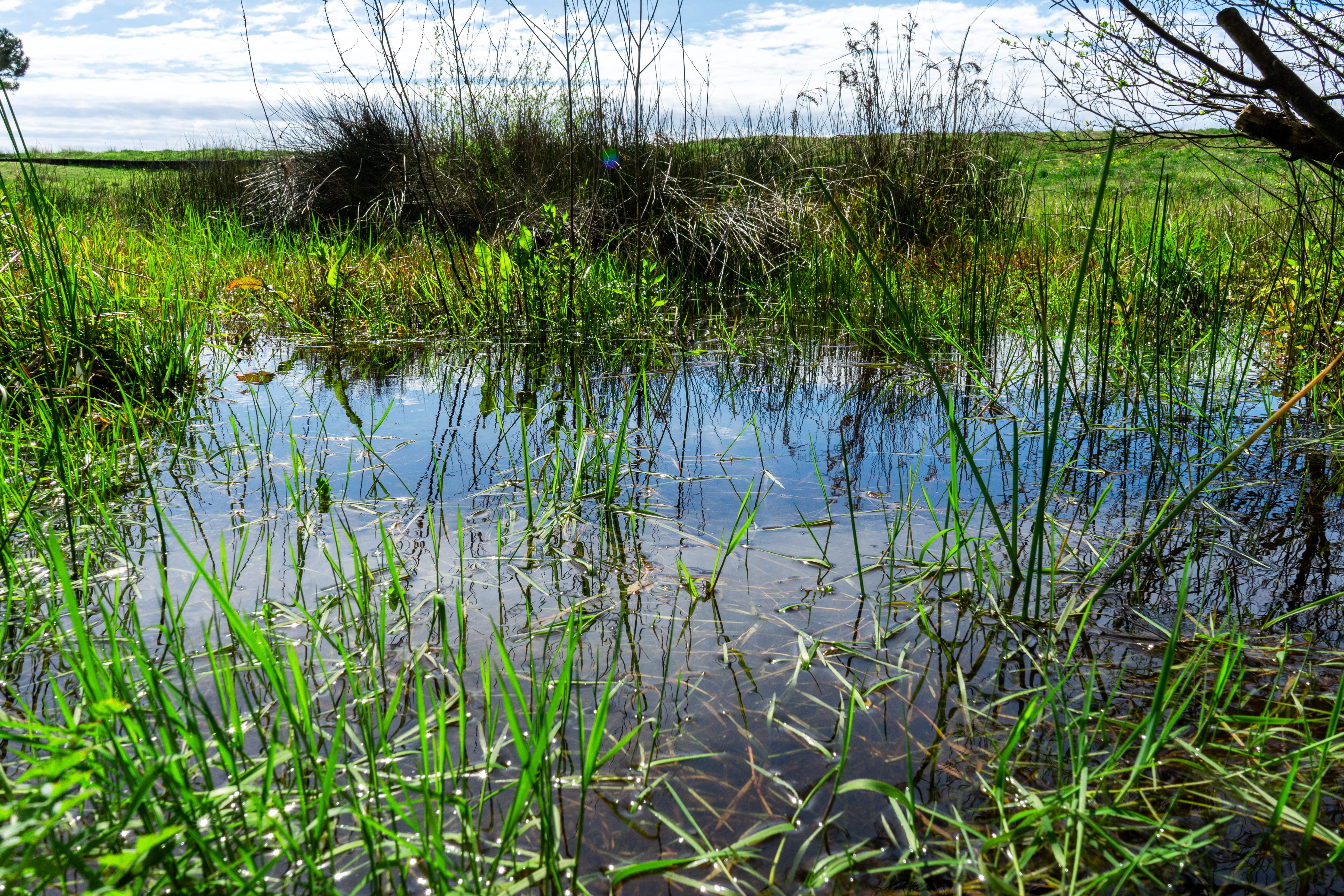 Sistema dunar de Carragueiros